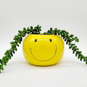 Smiley Face Plant Pot • Smiley Planter for Succulent • Cute Groovy Planter • Houseplant Flower Pot for Kids Room • Garden Gift for Mom