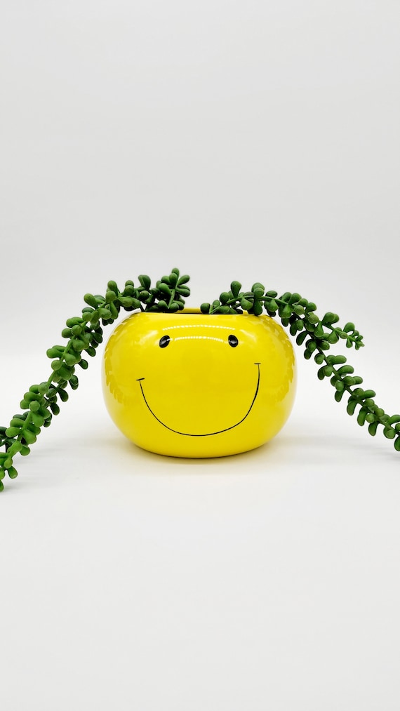 UMESONG Fioriera con faccina sorridente con foro di drenaggio, graziose fioriere in resina per filo di perle, piante grasse uniche per chitarra, per interni ed esterni, idea regalo per mamma Natale