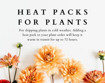 Heat Packs for Shipping Plants in Cold Weather