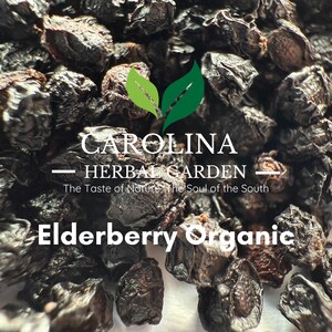 Elderberries Organic Whole Sambucus nigra