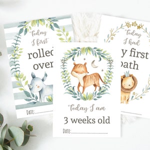 Jungle Baby Milestone Cards, Safari Milestone Cards, Jungle Animal Milestone Cards, Boho Baby Keepsake Cards, Unique Baby Gift, Photo Props image 4