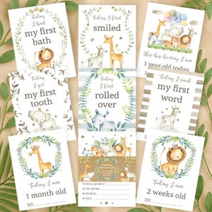 May include: A set of ten baby milestone cards featuring jungle animal illustrations. The cards are white with green and gold accents. The cards include phrases like "Today I had my first bath", "Today I first smiled", "Today I got my first tooth", "Today I first rolled over", "Hip hip hooray I am 1 year old today", "Today I said my first word", "Today I am 1 month old", and "Today I am 2 weeks old".