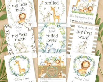 Cartes jalons bébé jungle - accessoires photo animaux de safari, cadeau neutre pour bébé, souvenir bohème, jeu de 24 cartes A6