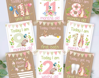 Pink Rabbit Baby Girl Milestone Cards - Bunny Newborn Photo Props, New Baby Girl Gift, Vintage, Floral, Monthly Memory Keepsake Cards