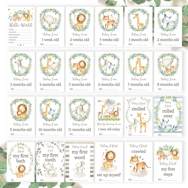 May include: A set of 16 printable baby milestone cards featuring jungle animals. Each card has a different milestone, such as "Today I am 1 week old" or "Today I first smiled". The cards are decorated with watercolor illustrations of animals like lions, elephants, giraffes, and zebras.