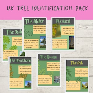 UK Baum-Identifikations-Paket