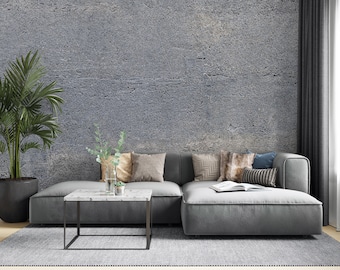 Grey Concrete Texture Wallpaper: Peel and Stick Fabric Wall Mural