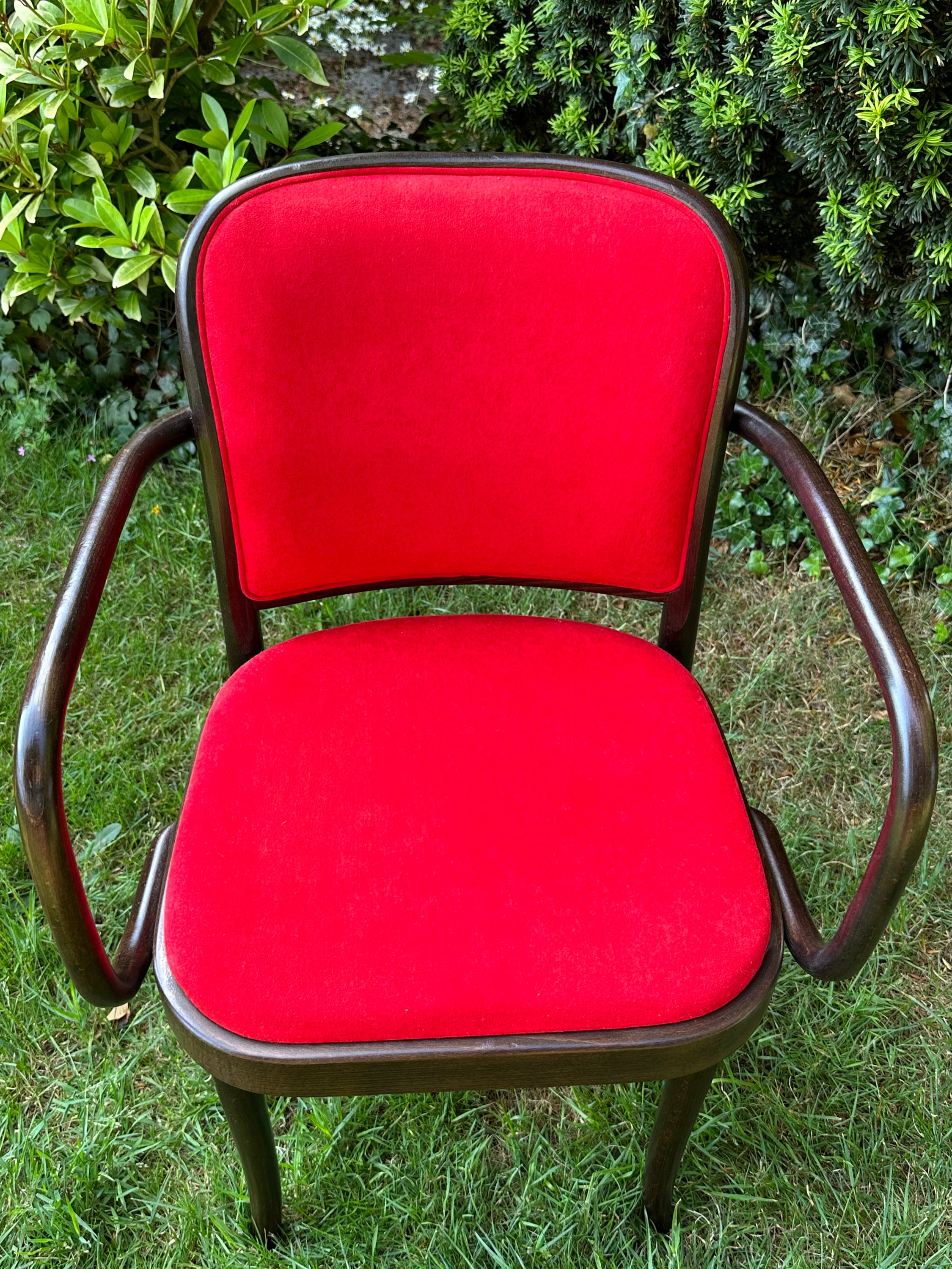 TON Bentwood Armchair: Red Upholstery, Thonet-style Czech Café