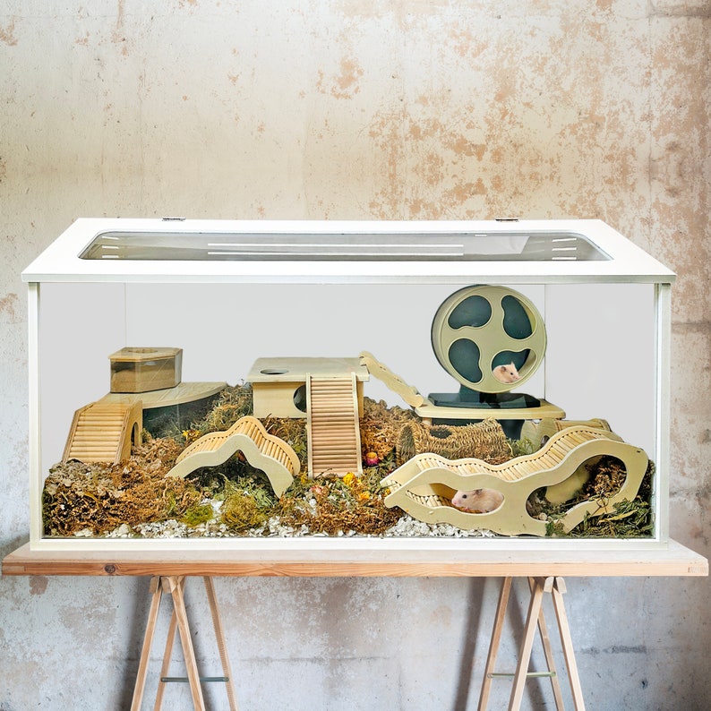 Sahara Cage Unique & Modern USA Cage for Hamsters, Gerbils, Degus, Rats ... - Modern Hamster Cage Retailers
