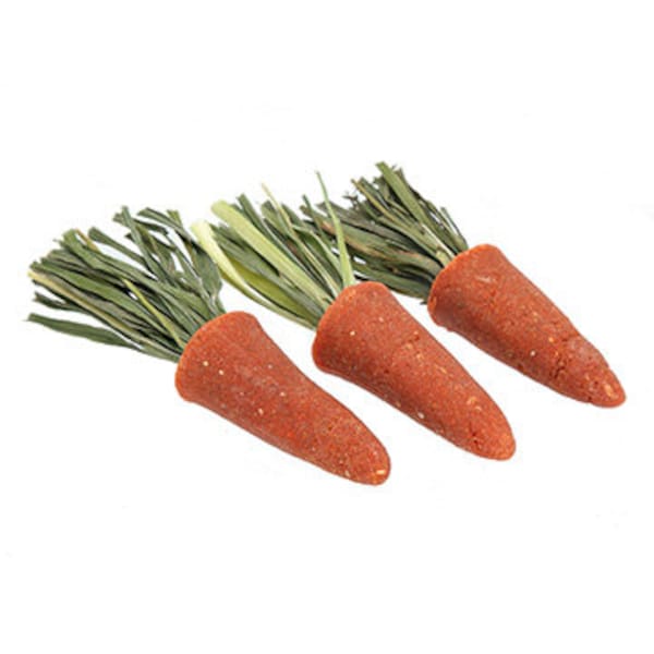 Carrot Mini's - Fun & Unique Chew for Rabbits, Guinea Pigs, Hamsters, Chinchillas, Etc.