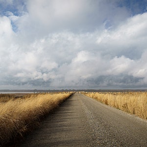 Road to the Clouds