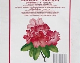 Rhododendron Schablone