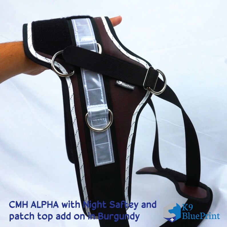 Classic Mobility Harness ALPHA CUSTOM Etsy