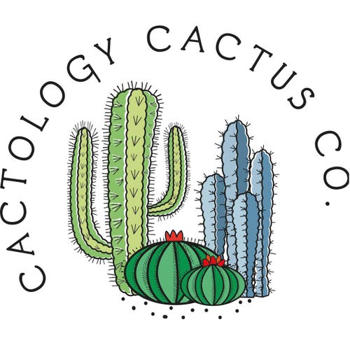 CactologyCactusCo - Etsy