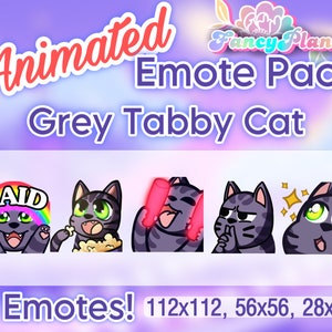 5 Grey Tabby Cat Animated Twitch Emotes Pack, Twitch Sub Emotes, Discord Emotes, Text Emotes, Animated Emotes, Cute Cat Emotes