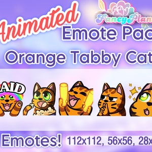 5 Orange Tabby Cat Animated Twitch Emotes Pack, Twitch Sub Emotes, Discord Emotes, Text Emotes, Animated Emotes, Cute Cat Emotes