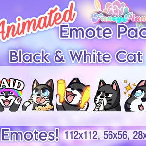 Black and White Tuxedo Cat Animated Twitch Emote Pack, Twitch Sub Emotes, Discord Emotes, Text Emotes, Animated Emotes, Cute Cat Emotes
