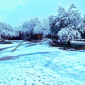 Snow in Tucson AZ - January 2019