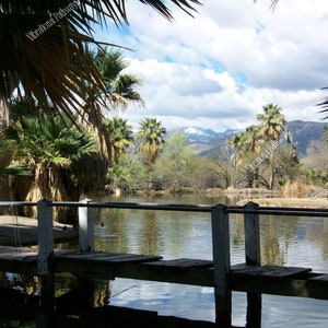 Roy P. Drachman-Agua Caliente regionalpark