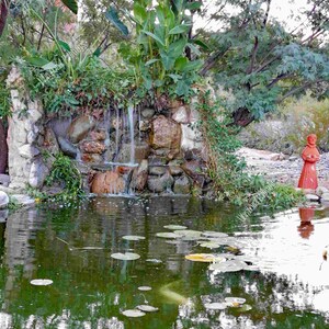 Può includere: Un piccolo stagno con una cascata che scende da un muro di pietra. Lo stagno è circondato da una vegetazione lussureggiante e ha ninfee che galleggiano sulla superficie.