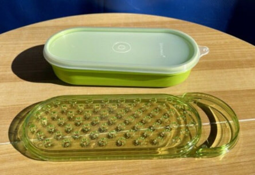 Tupperware Oval 3 Piece Cheese Grater Container and Lid 2 Cups Etsy Canada