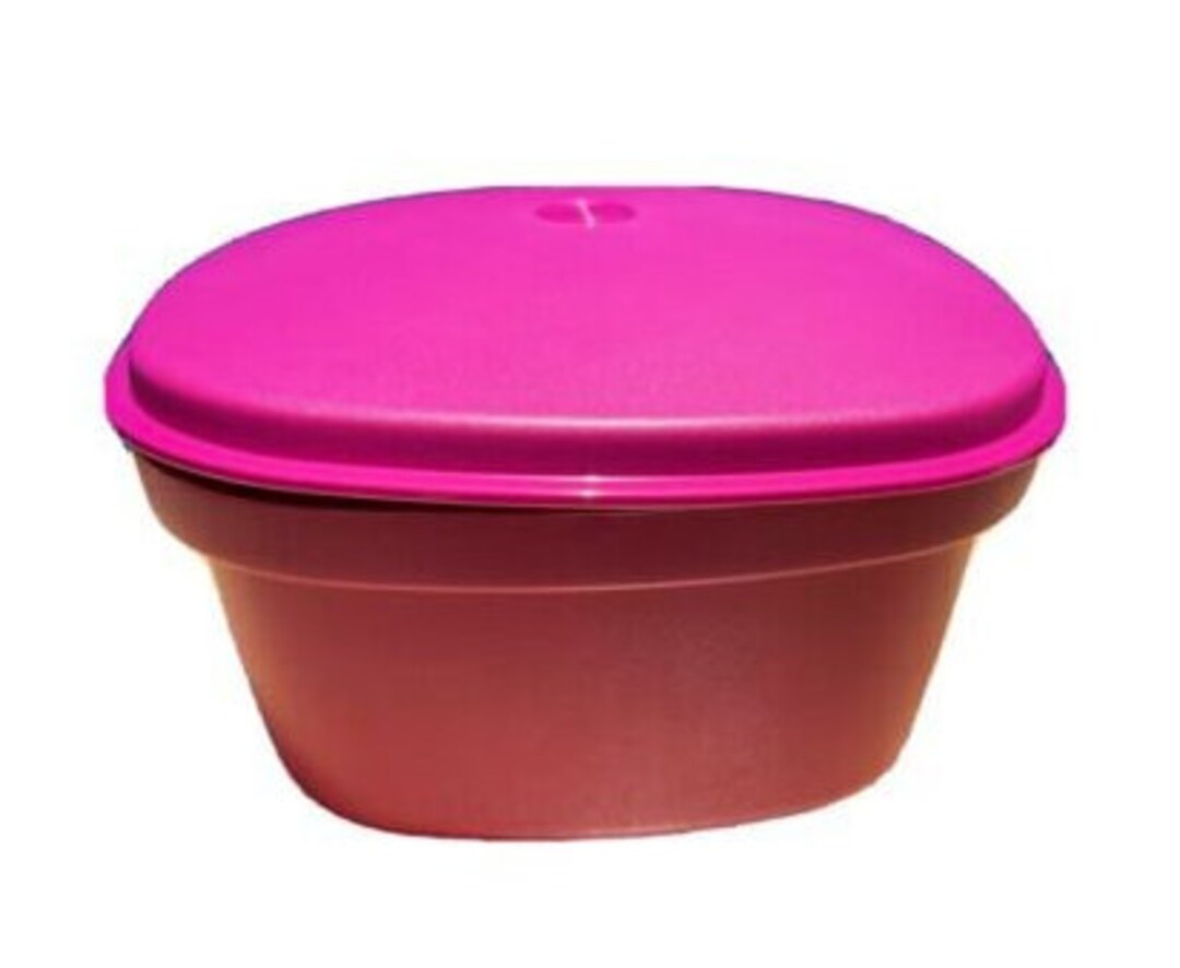 Tupperware Micro Steamer Multi Serve Idli Maker Vineyard 3pcs. Etsy