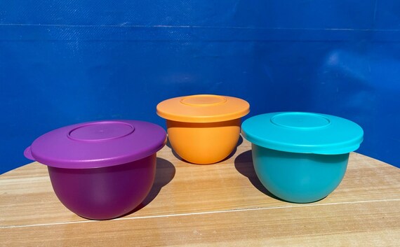 Tupperware Impressions Green Mini Bowl Set of 3 550ml Purple - Etsy