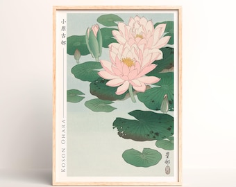 小原古邨による日本のアートプリント「睡蓮」、木版画、ジクレー、版画