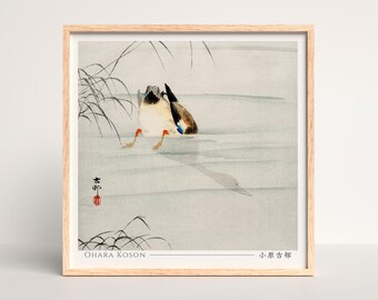 Mallard, the head under water Japanese Woodblock Print, Ohara Koson - Square #015