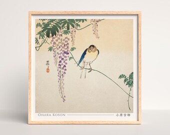 Wisteria and swallow Japanese Woodblock Print, Ohara Koson - Square #018