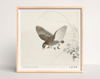 Japanese Woodblock Print of Flying quail, Ohara Koson - Square #013