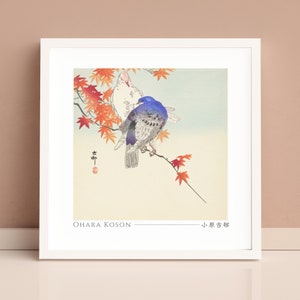 Two Pigeons On Autumn Branch by Ohara Koson, Giclée, Art, Print, Poster, Wall Art, Japanese, Woodblock, Ukiyo-e, #009