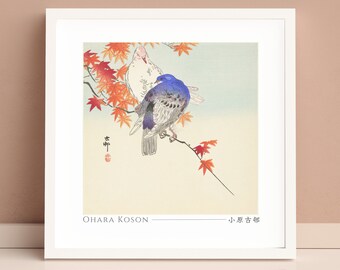 Two Pigeons On Autumn Branch by Ohara Koson, Japanese Art Print, Poster, Home Decor, Wall Art, Square, Unframed, #009