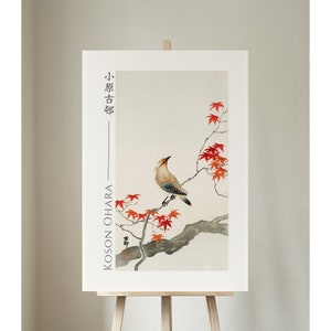 Japanese Plague Bird On Maple by Ohara Koson, Giclée, Art, Print, Poster, Wall Art, Japanese, Woodblock, Ukiyo-e, #089