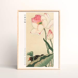 Grabado japonés en madera de una gallineta con flores de loto, Ohara Koson - n.° 024