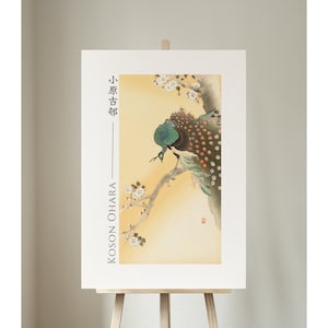 Peacock on a cherry blossom tree by Ohara Koson, Giclée, Art, Print, Poster, Wall Art, Japanese, Woodblock, Ukiyo-e, #013