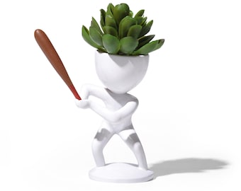 Baseball Succulent Planter, Baseball Gifts, Baseball Decor, Sports Gift, Sports Succulent Planter