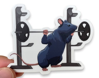 Gym Rat Squat Sticker: Weatherproof Matte Vinyl Workout Decal