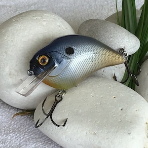 Fishing Lure