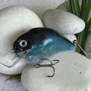 Fishing Lure