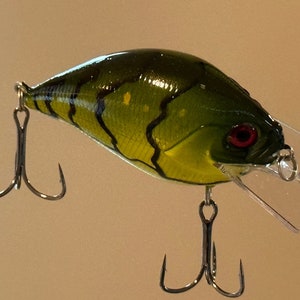 Fishing Lure