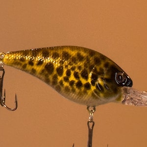 Fishing Lure