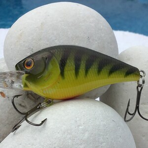 Fishing Lure