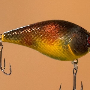 Fishing Lure