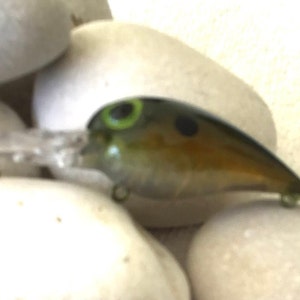 Fishing Lure