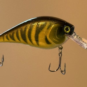 Fishing Lure