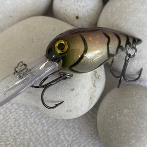 Fishing Lure