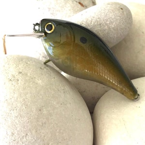 Fishing Lure