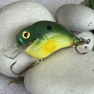 Fishing Lure