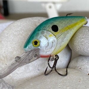 Fishing Lure